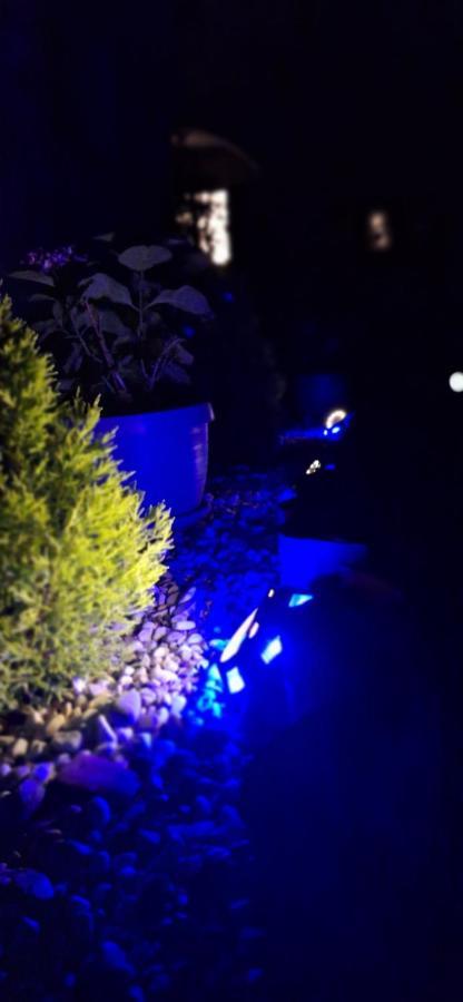 Apartman Sanja Kampor Kültér fotó